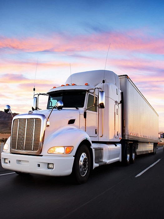 Road freight services in Delhi
